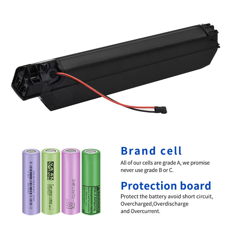 Factory Low Price 48V 1000w Electric Bike Lithium Batteries Reention Dorado Plus 36V 48V 13Ah 15Ah 17.5Ah 2000W Ebike Battery